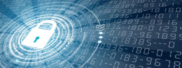 Cybersecurity Consulting - 1h - Image 3